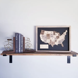 3D Map of USA Framed Wood sign with variating wood stains